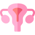 Prolasso dell'Utero